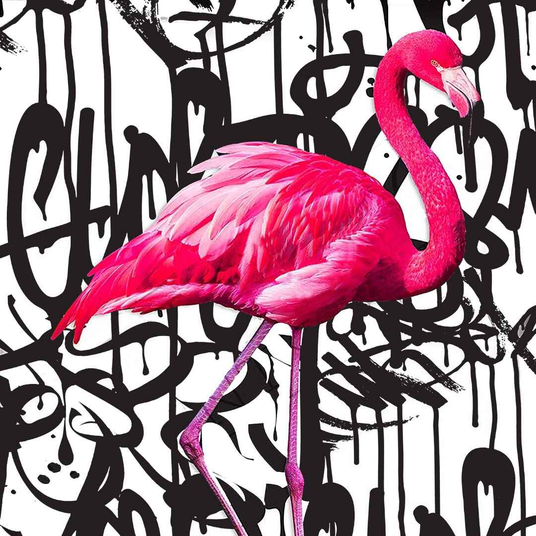 A collection of abstract artworks featuring a variety of colors, shapes, and textures.