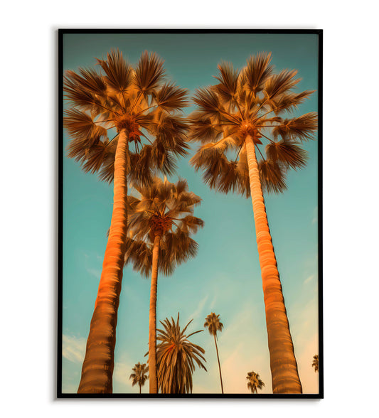 Palm Trees