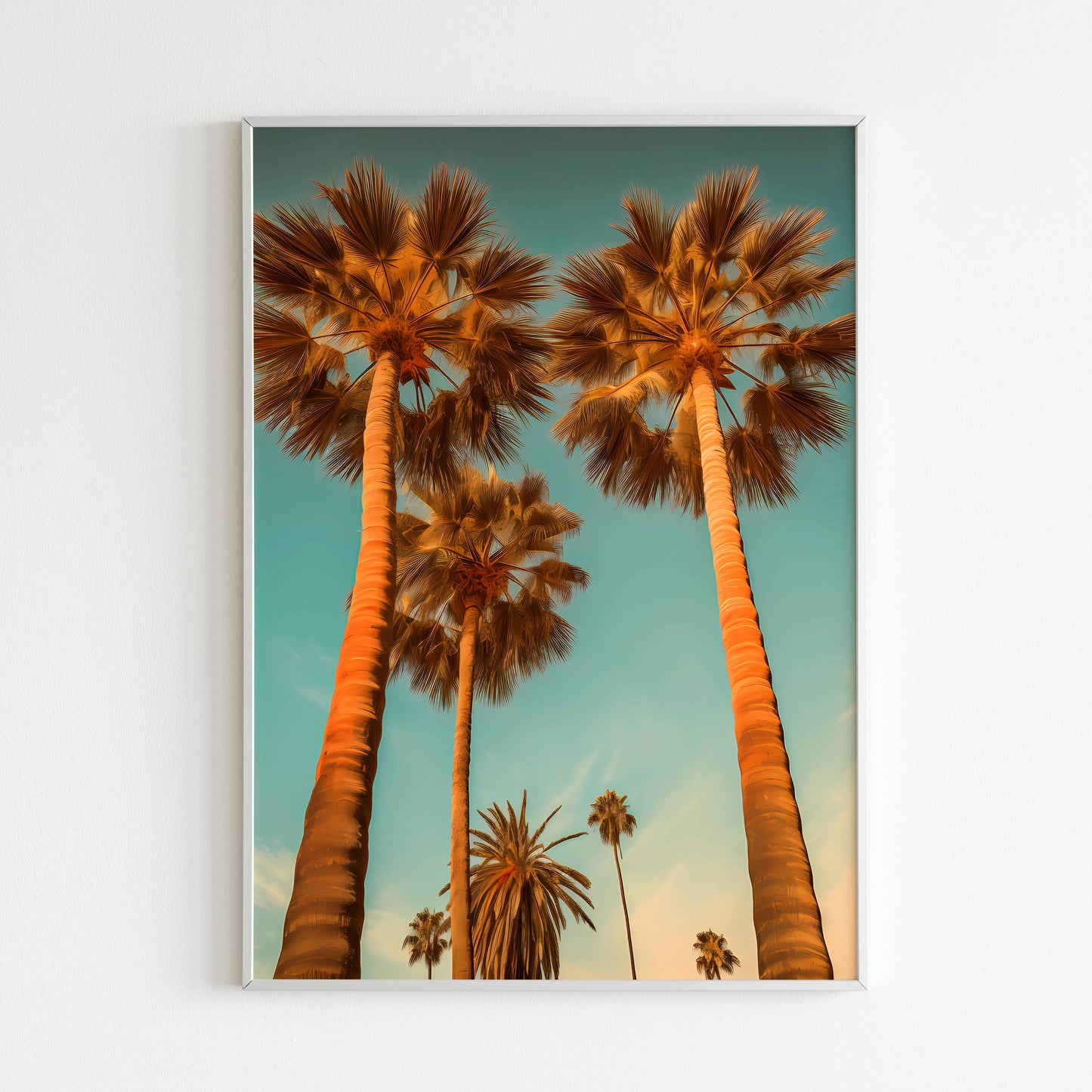 Palm Trees