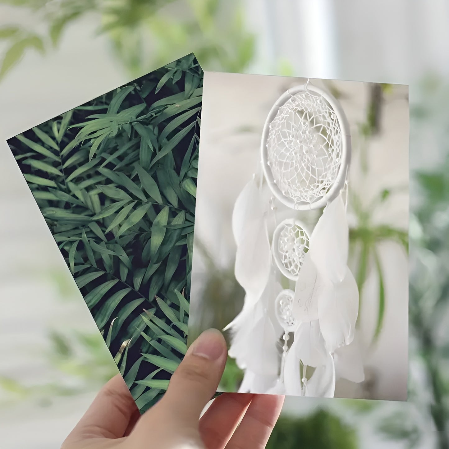 Boho-inspired botanical wall art set with various plant illustrations for a cozy space