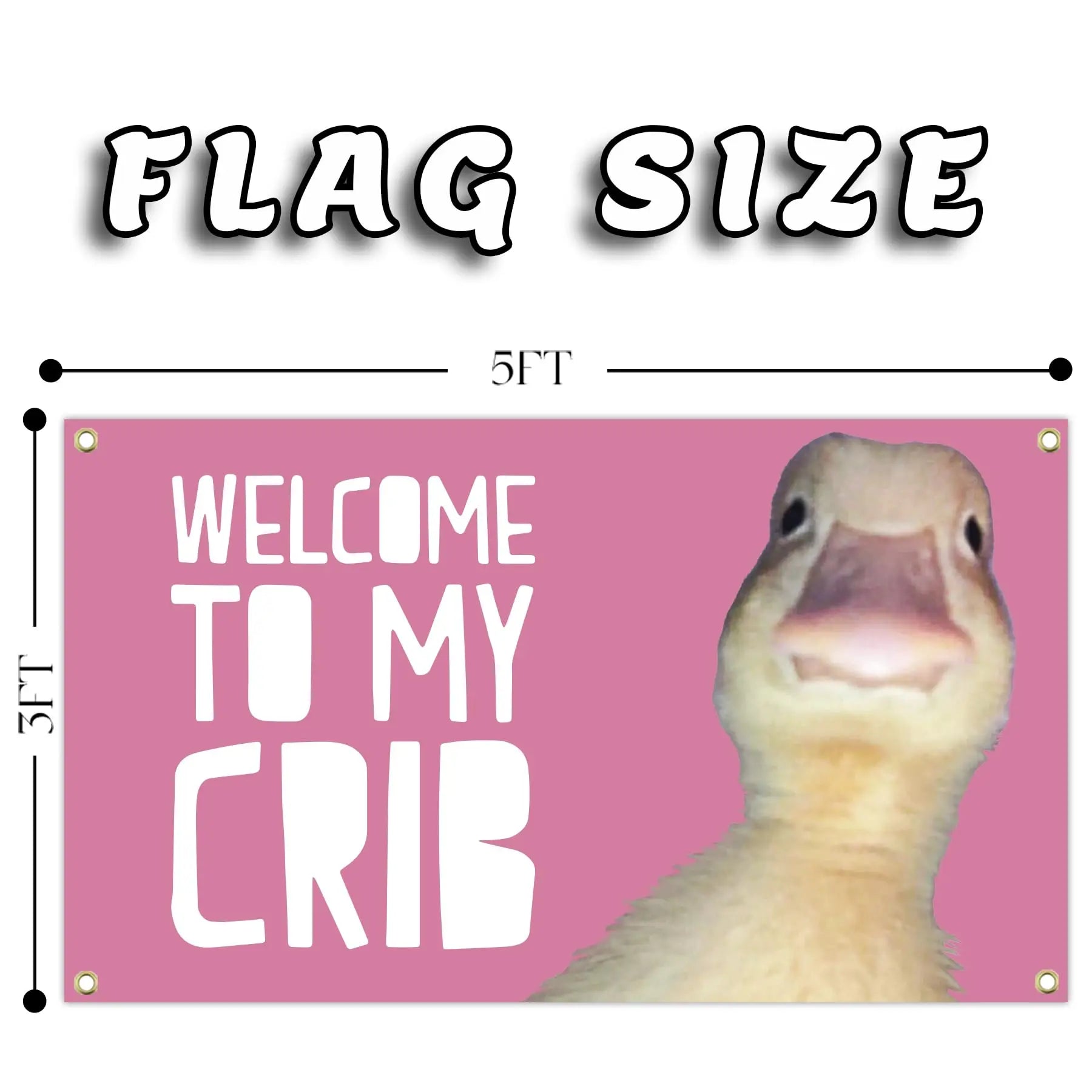 College dorm funny flag with 4 brass grommets