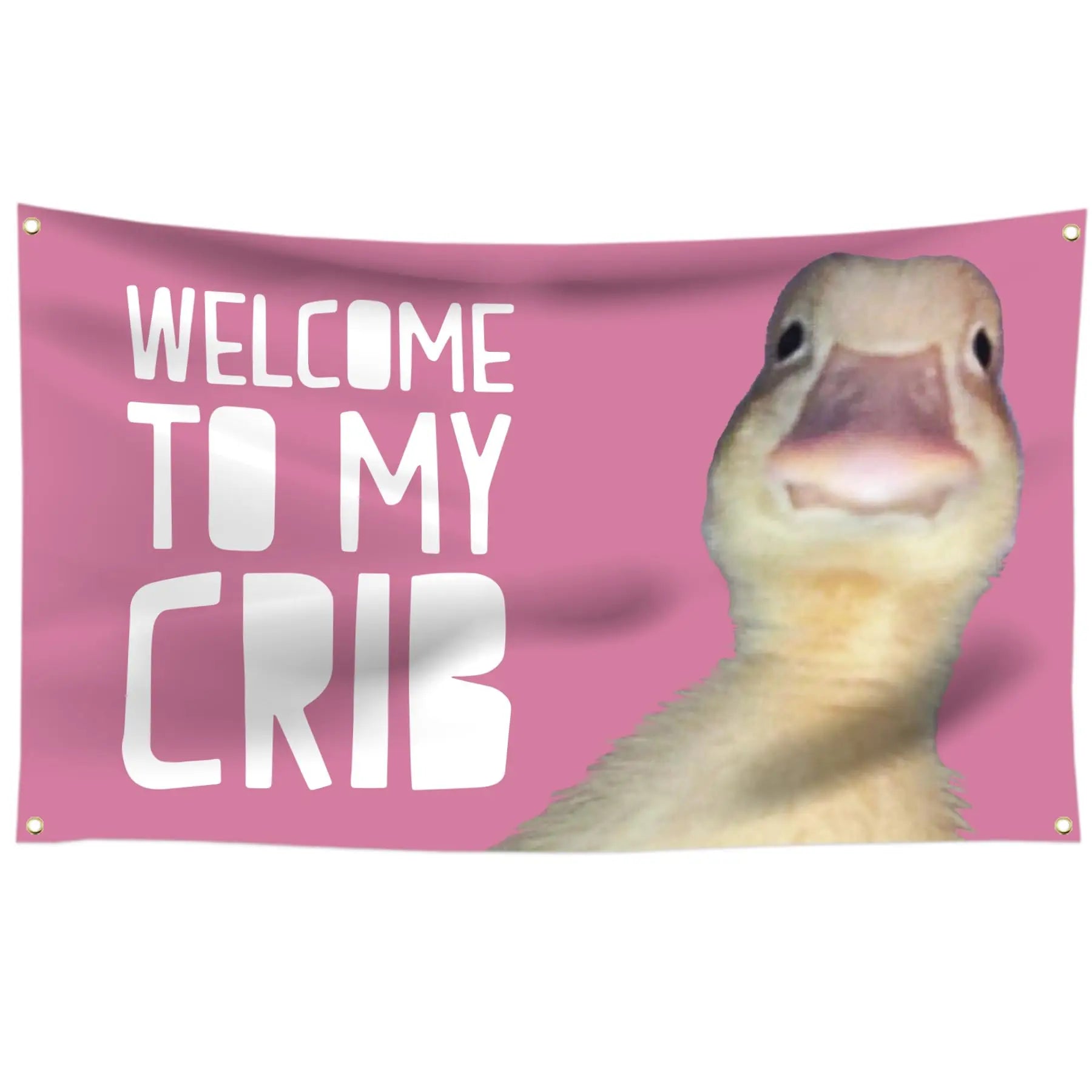 Welcome to My Crib funny dorm flag with brass grommets