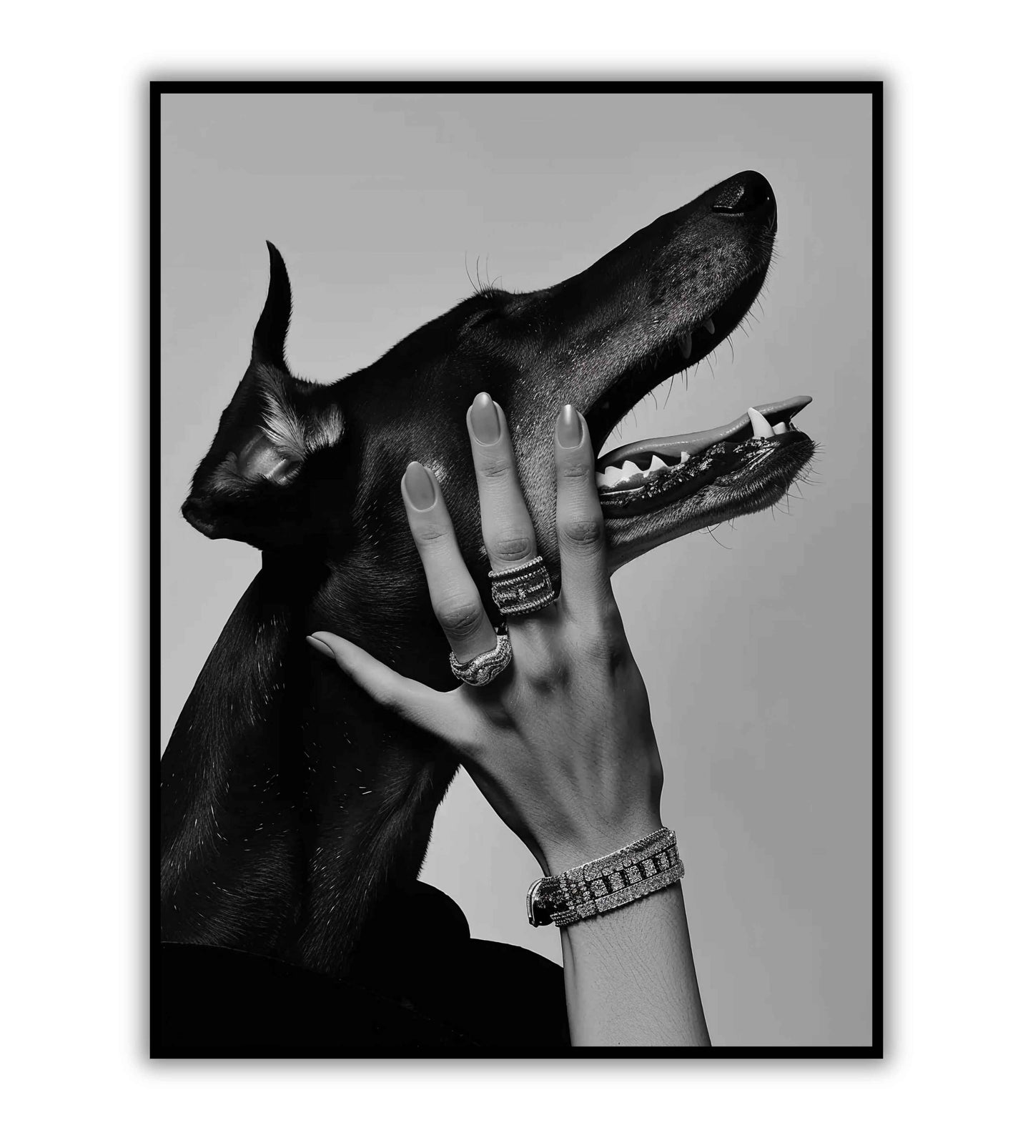 Dog and Diamonds(1 of 2)