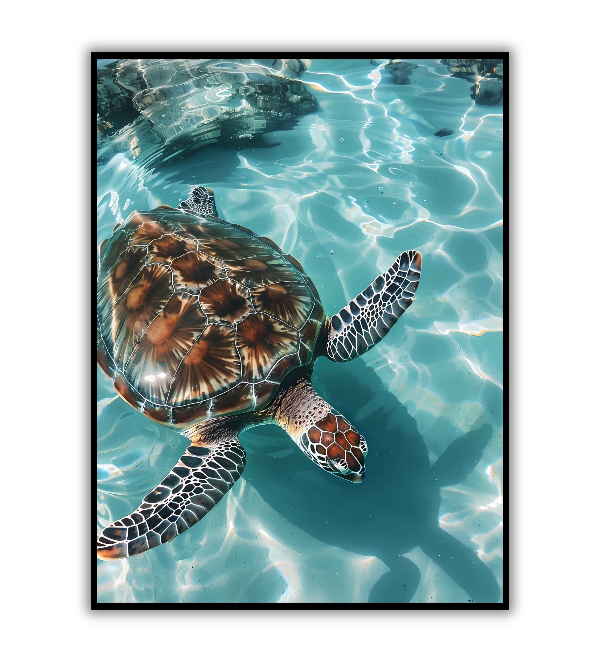 Turtle's Lagoon Glide printable poster. Available for purchase as a physical poster or digital download.