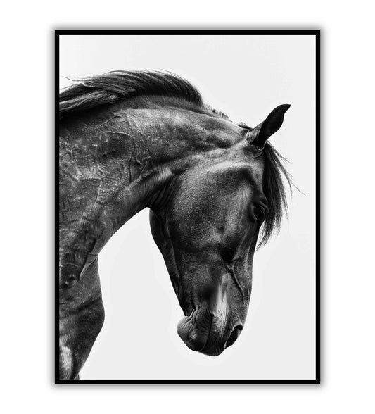 Black Horse