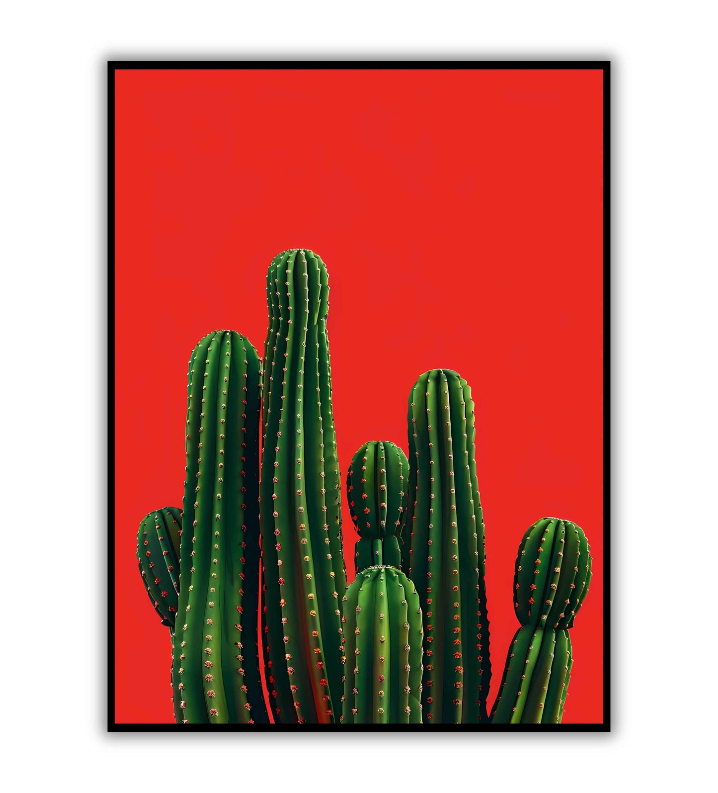 Minimalist Cactus