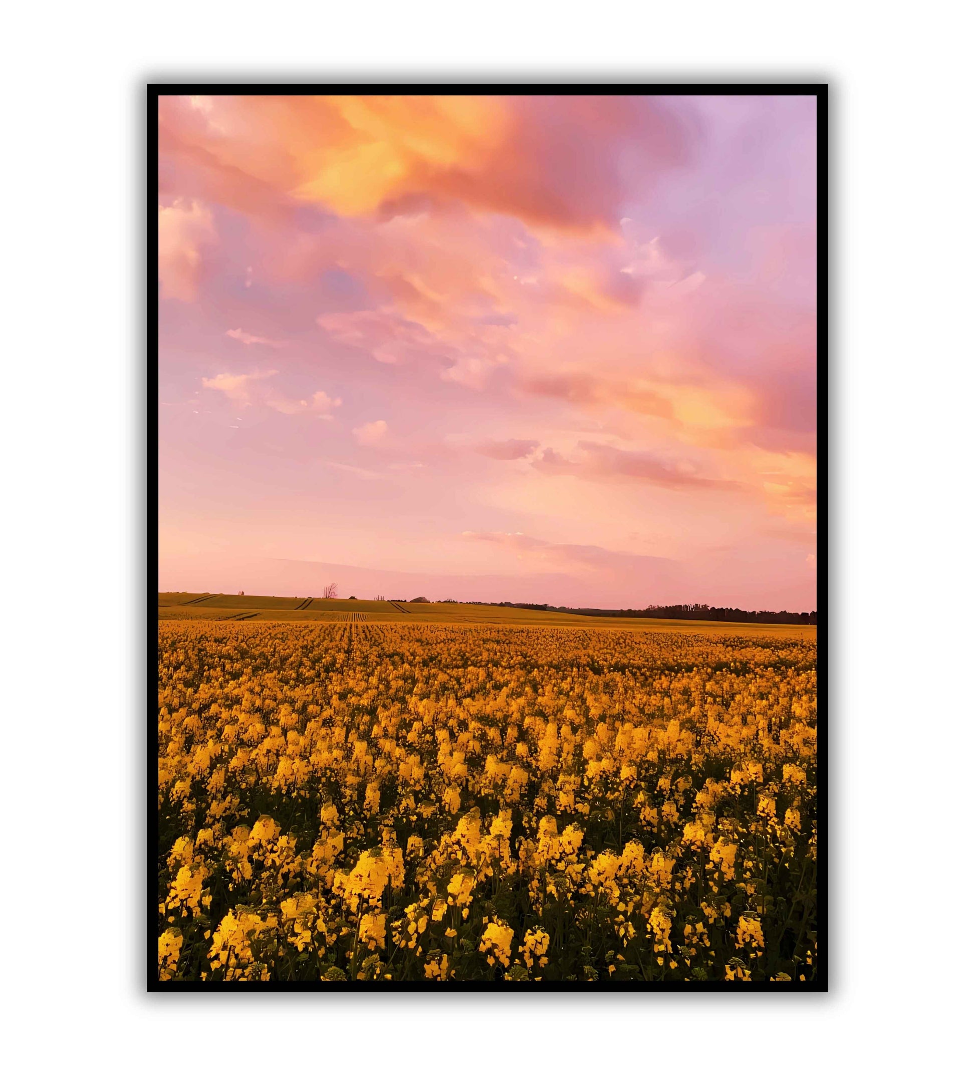 Flower Fields printable poster. Available for purchase as a physical poster or digital download.