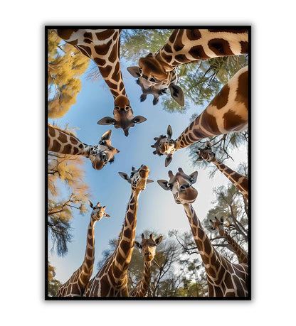 Giraffe Gaze printable poster. Available for purchase as a physical poster or digital download