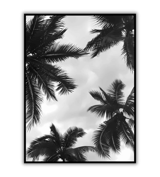 Palm Tree Silhouette