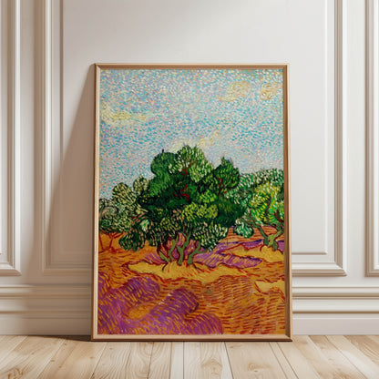 Olive Trees Orange Ground