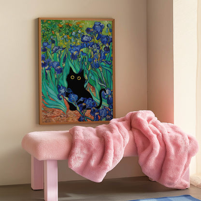 Cat Irises Field