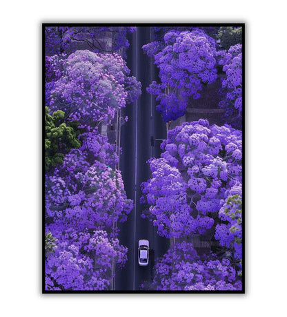 Purple Canopy