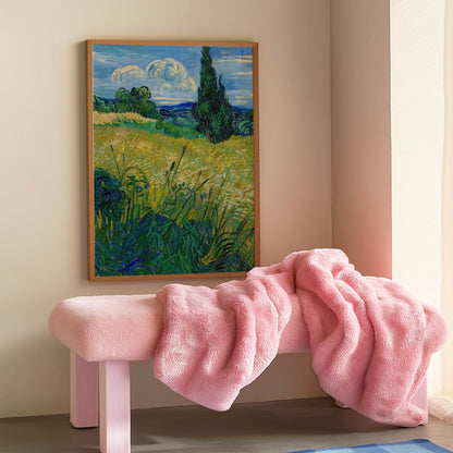Green Wheat Field with Cypress
