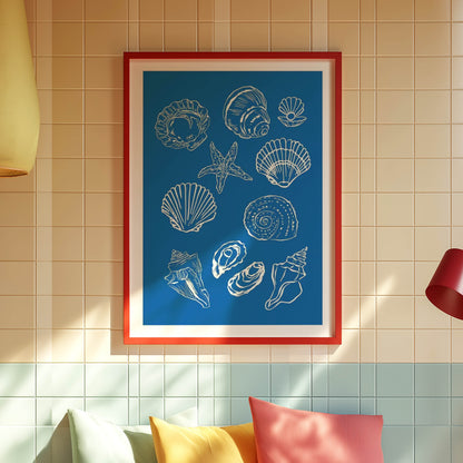 Seashell Collection