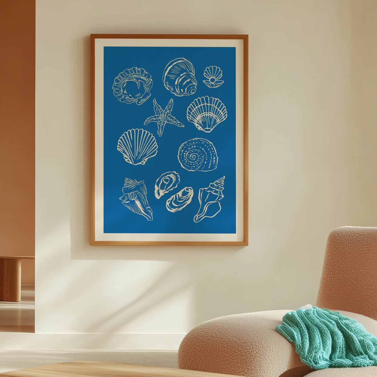 Seashell Collection