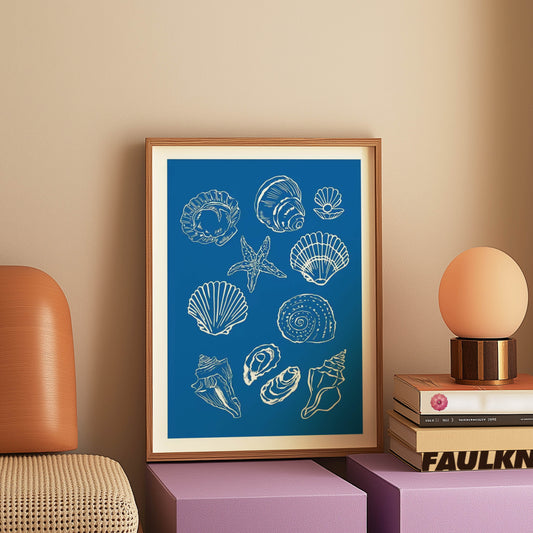 Seashell Collection