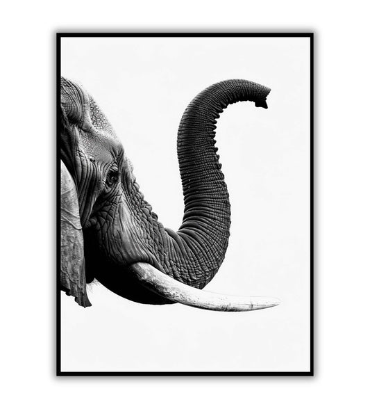 Elephant(2 of 2)