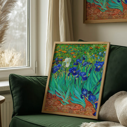 Irises