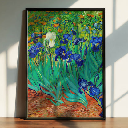 Irises