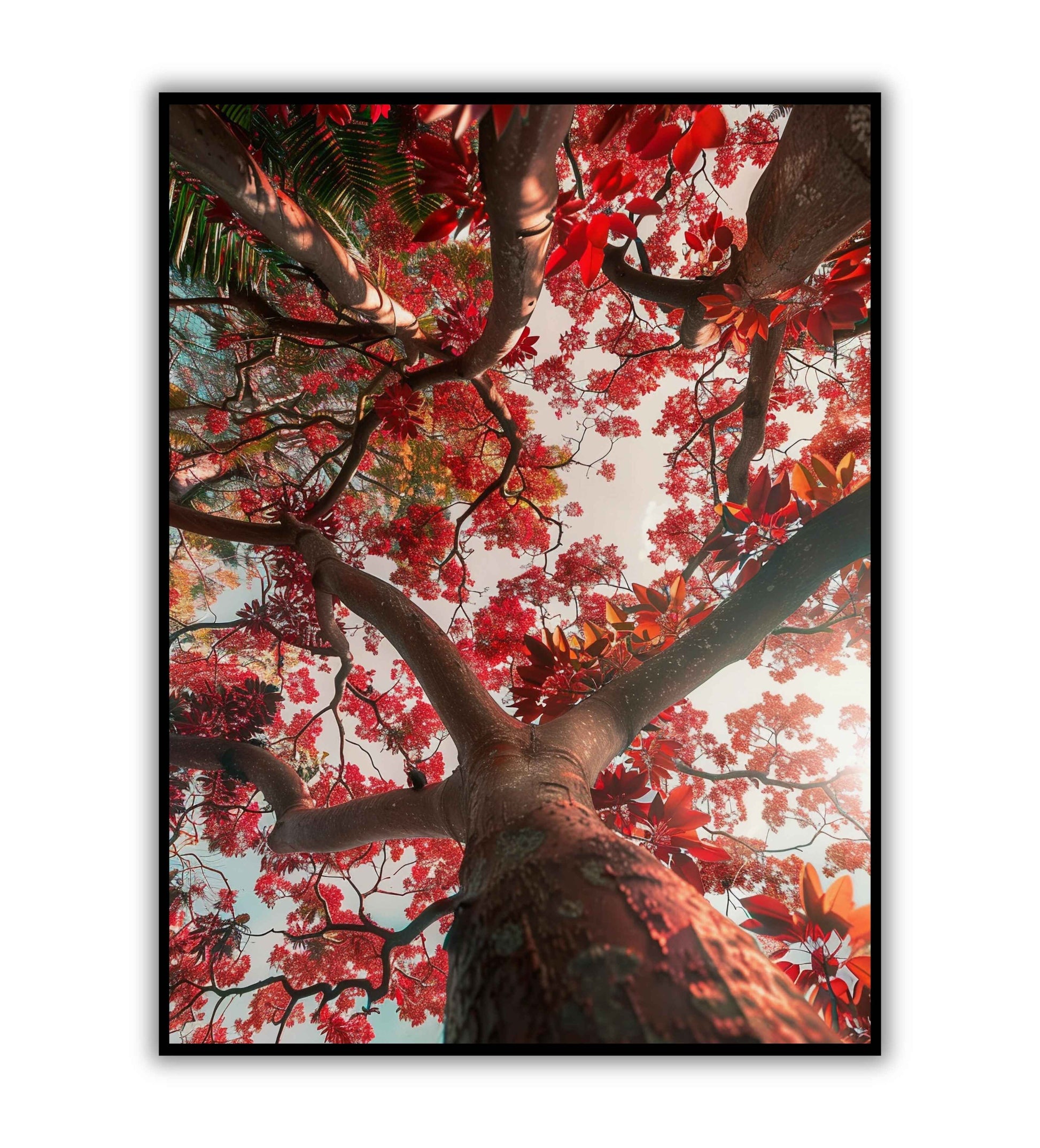 Tree Blossoms printable poster. Available for purchase as a physical poster or digital download