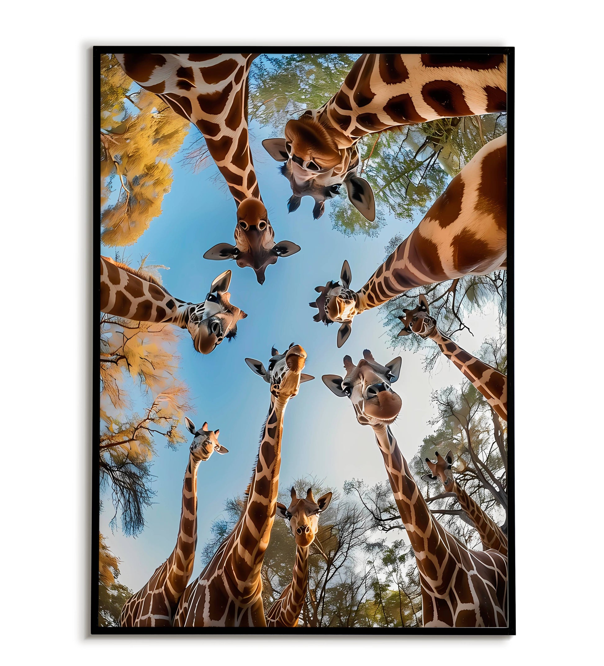 Giraffe Gaze printable poster. Available for purchase as a physical poster or digital download