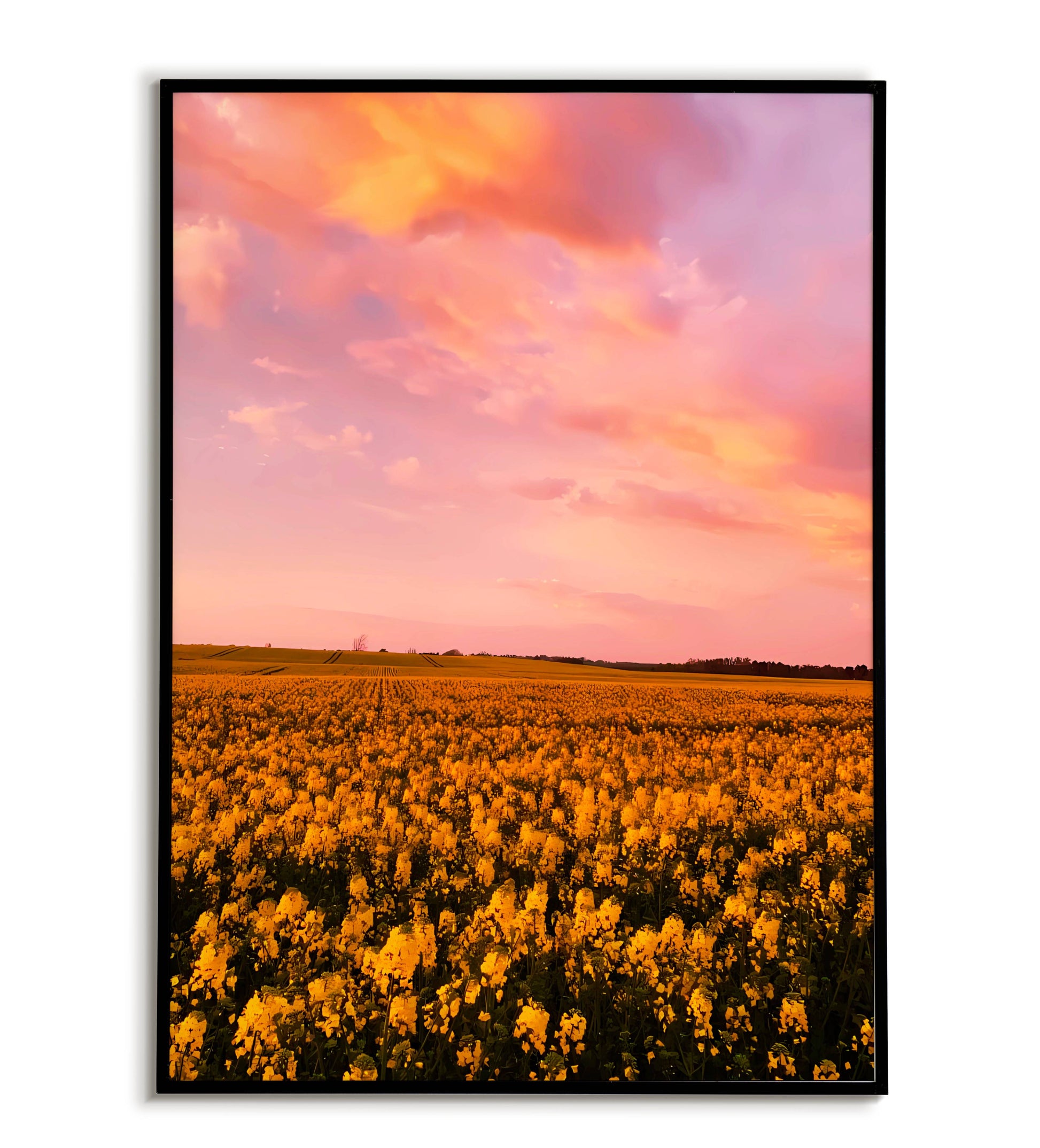 Flower Fields printable poster. Available for purchase as a physical poster or digital download.
