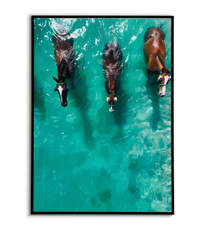 Horse Sea Swim(2 of 2) printable poster. Available for purchase as a physical poster or digital download.