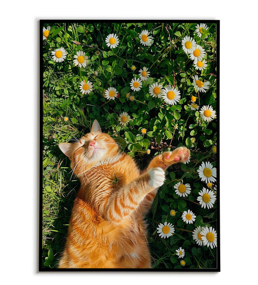 Catnap(1 of 2) printable poster. Available for purchase as a physical poster or digital download