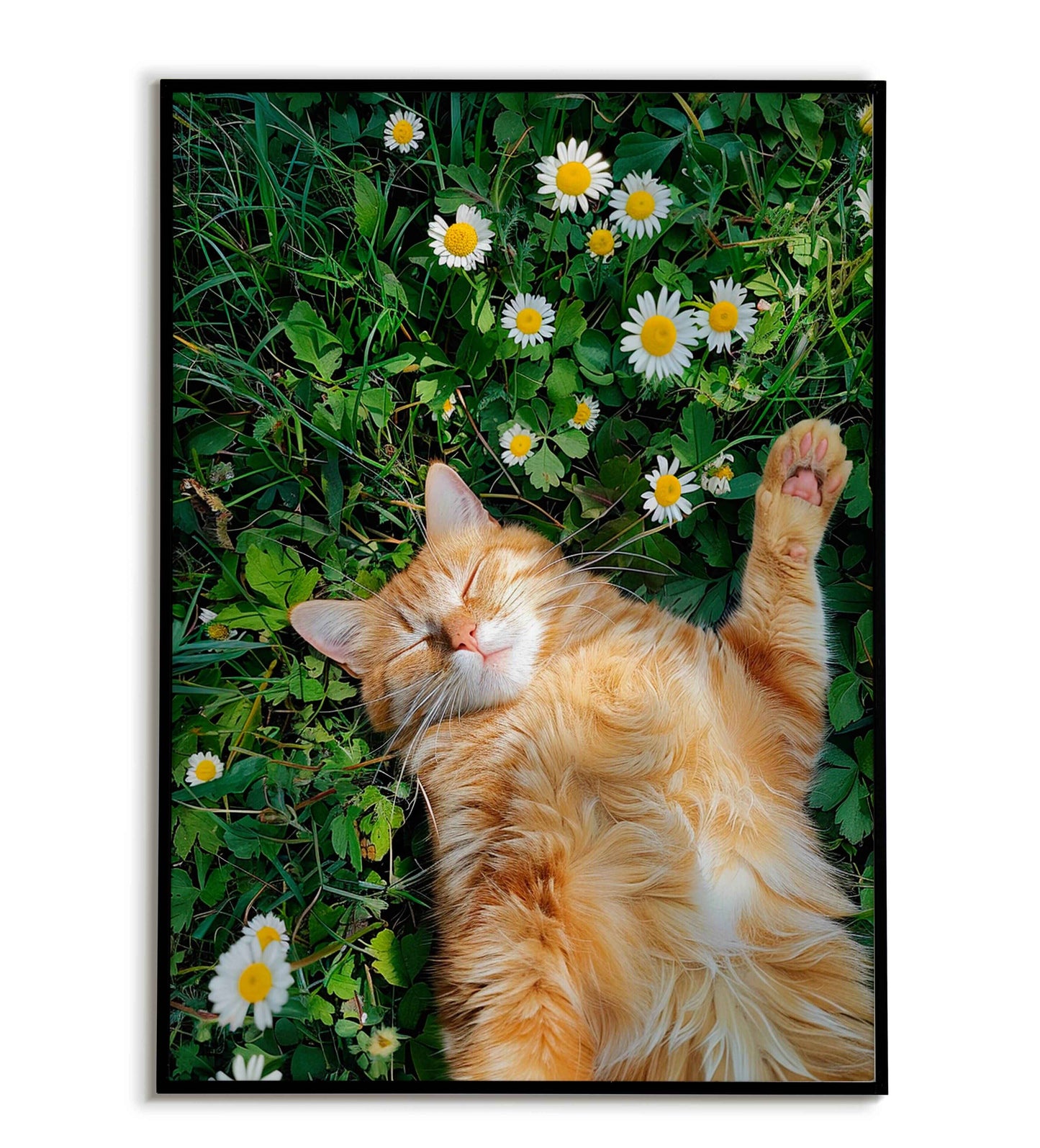 Catnap(2 of 2) printable poster. Available for purchase as a physical poster or digital download