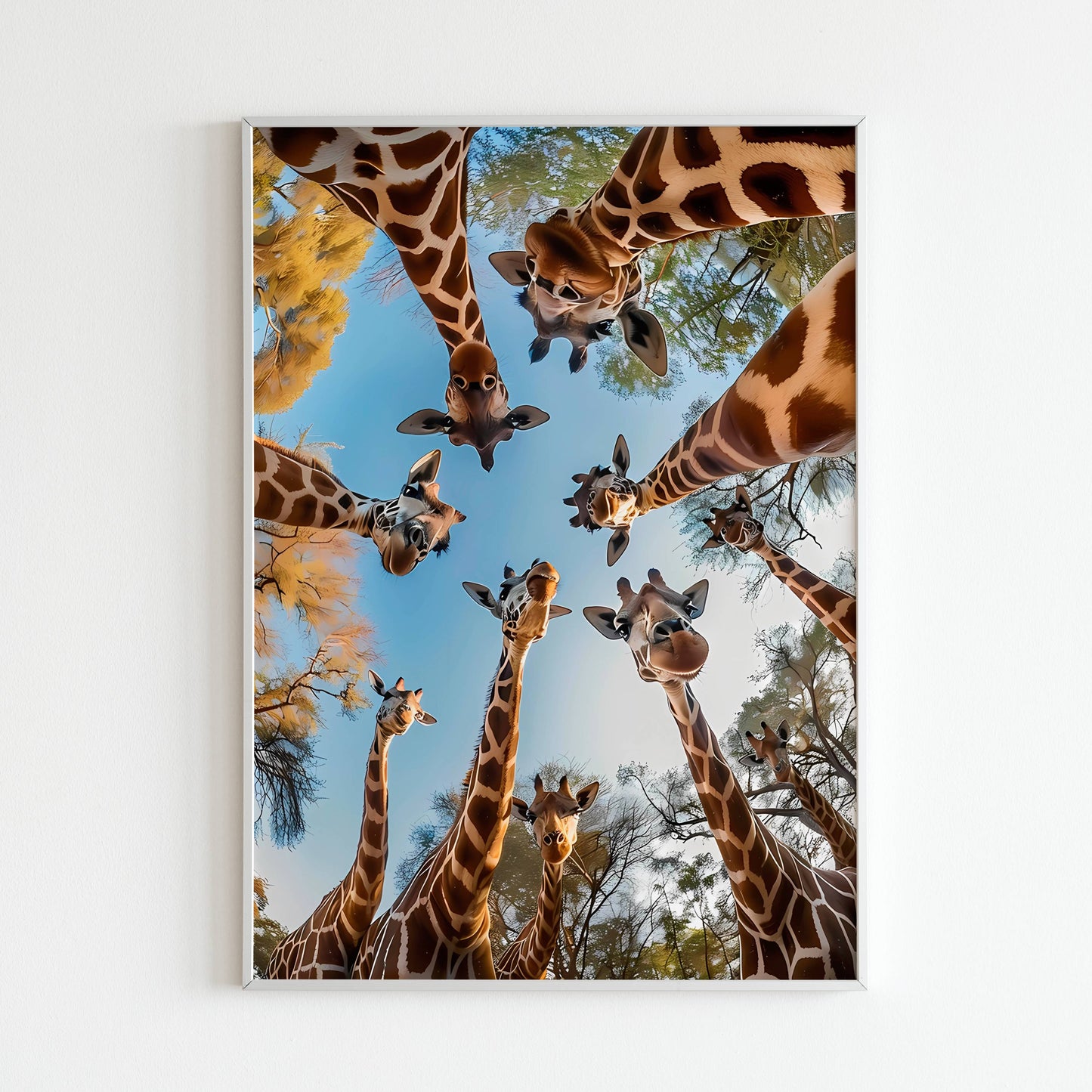 Encounter the captivating gaze of a giraffe with this printable poster (physical or digital).