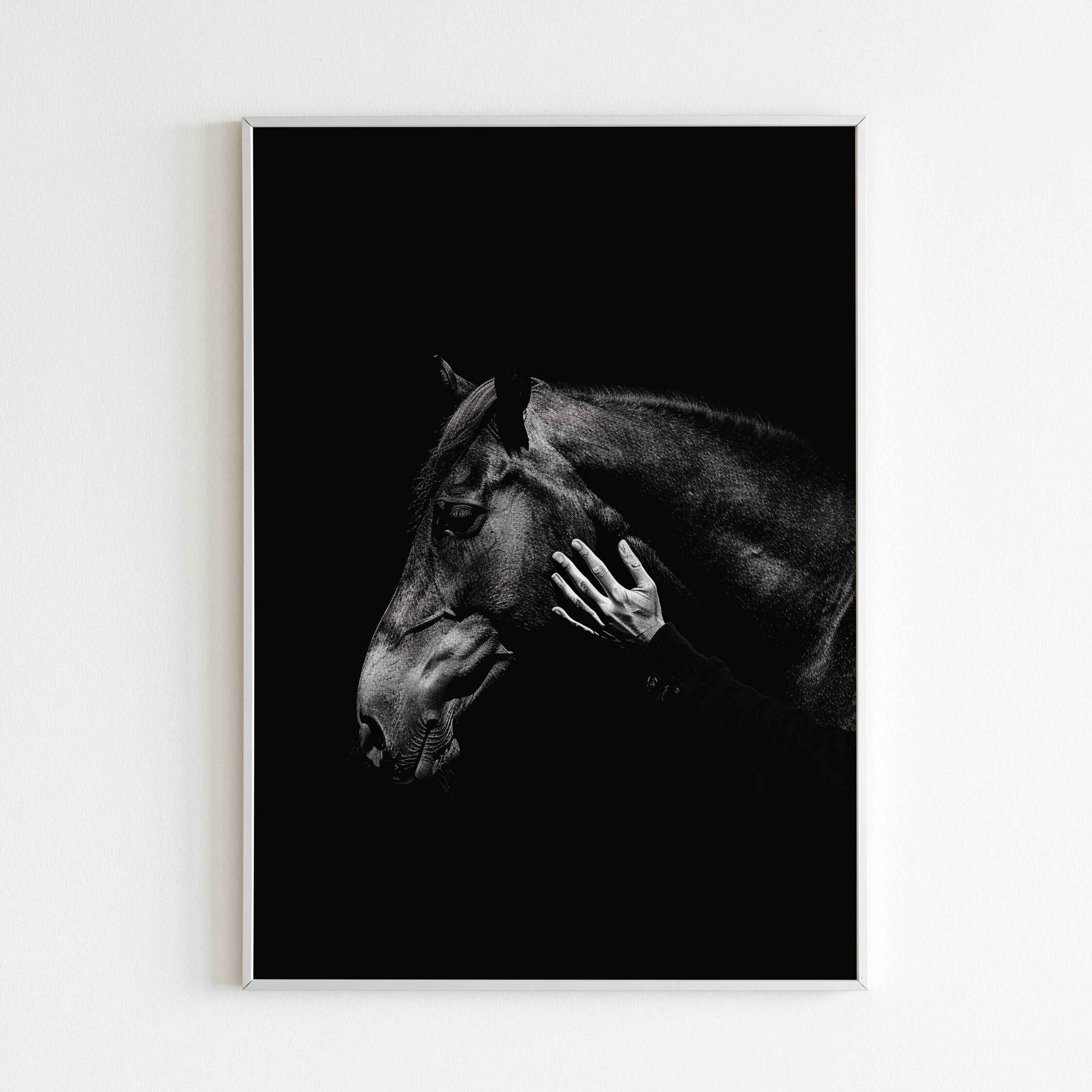 Hand and horse poster, a heartwarming depiction of human-animal connection.