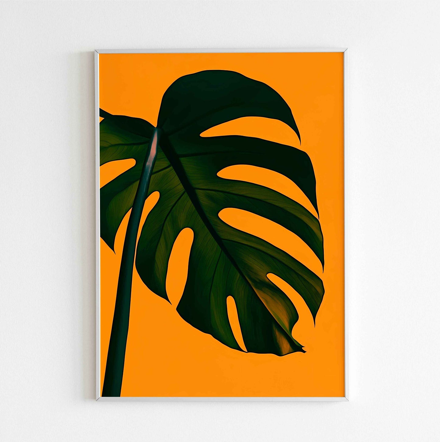 Monstera