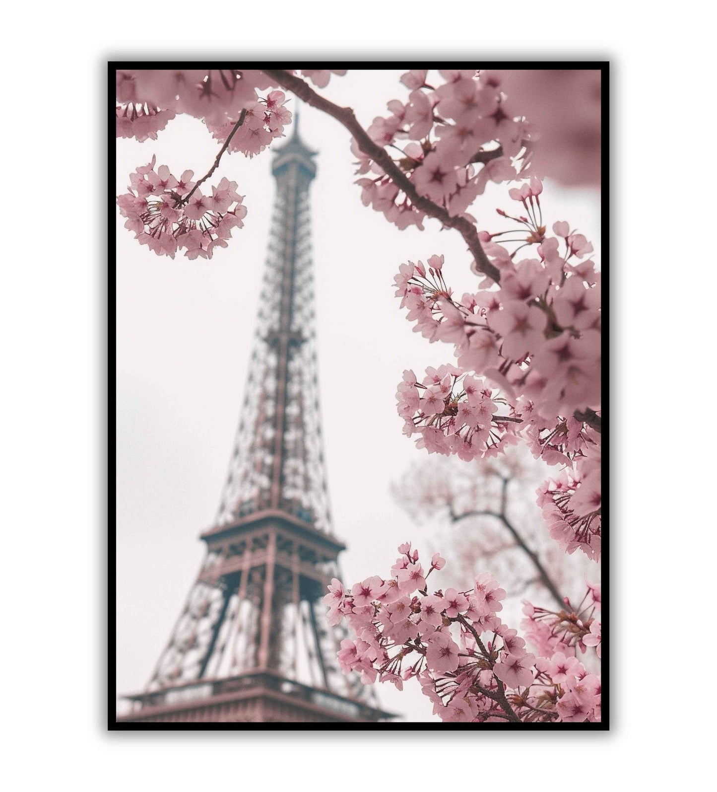 Paris Under Cherry Blossoms printable wall art poster. Romantic and picturesque artwork.