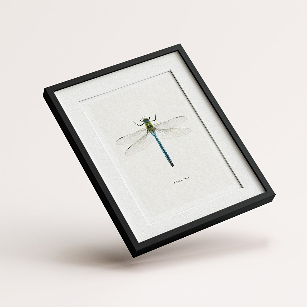 Set of 6 dragonfly botanical prints for bedroom
