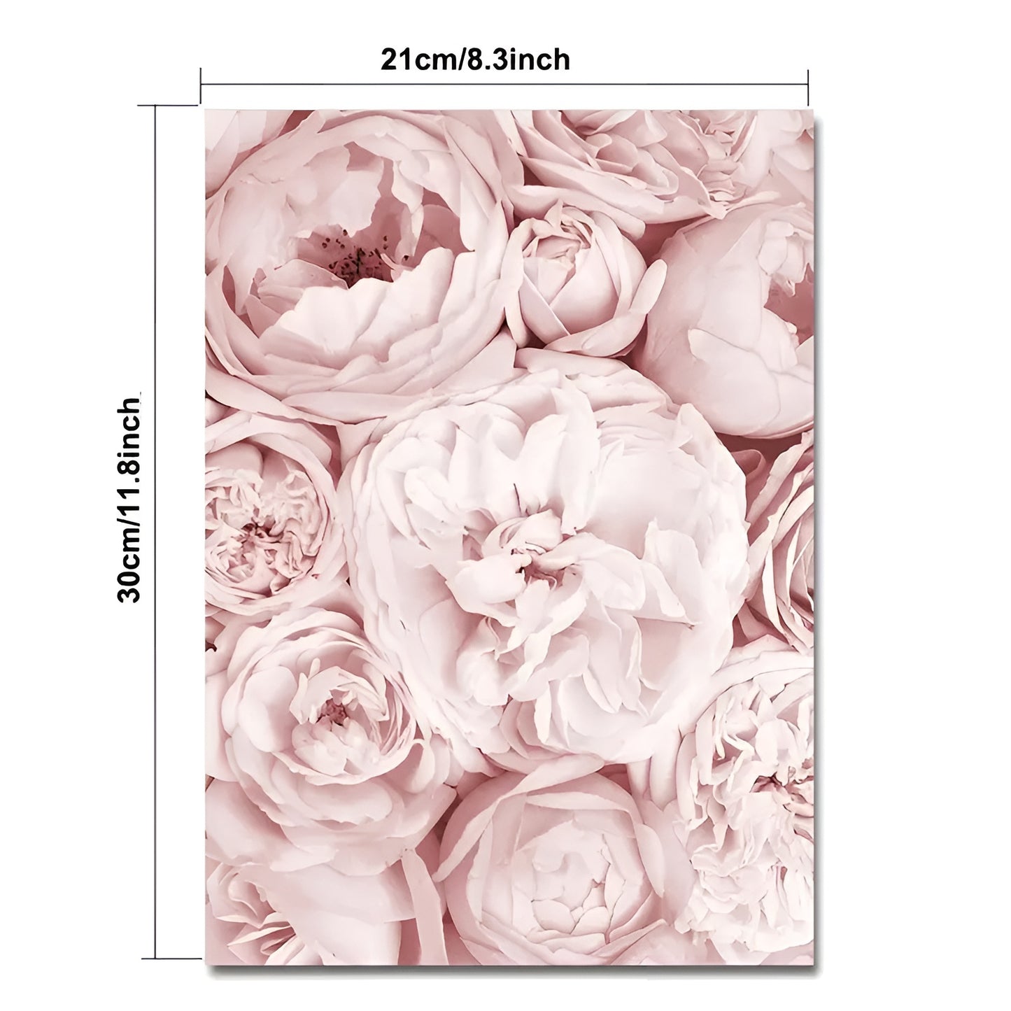 Stylish Nordic pink flower canvas posters for girls
