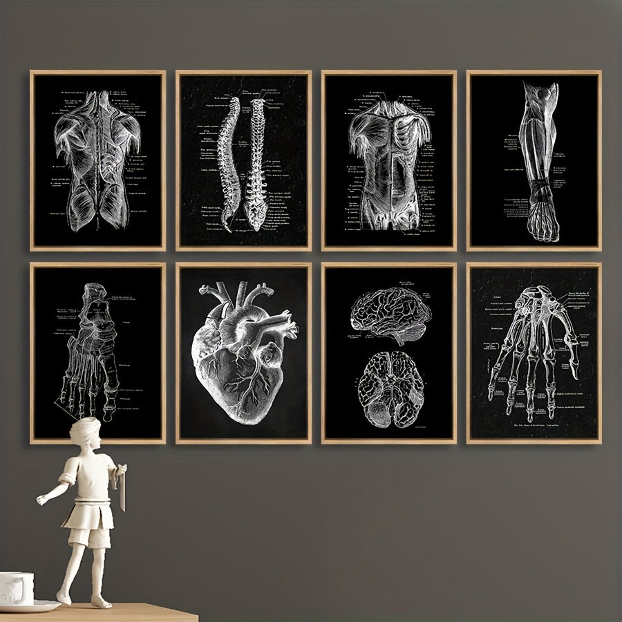 Vintage anatomy poster set with detailed body illustrations for living room decor.
