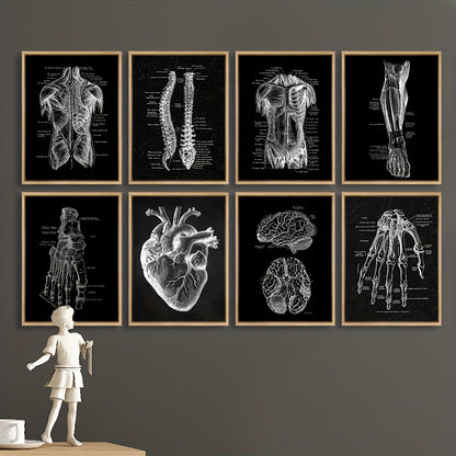 Vintage anatomy poster set with detailed body illustrations for living room decor.
