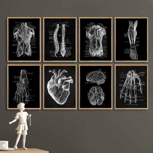 Vintage anatomy poster set with detailed body illustrations for living room decor.
