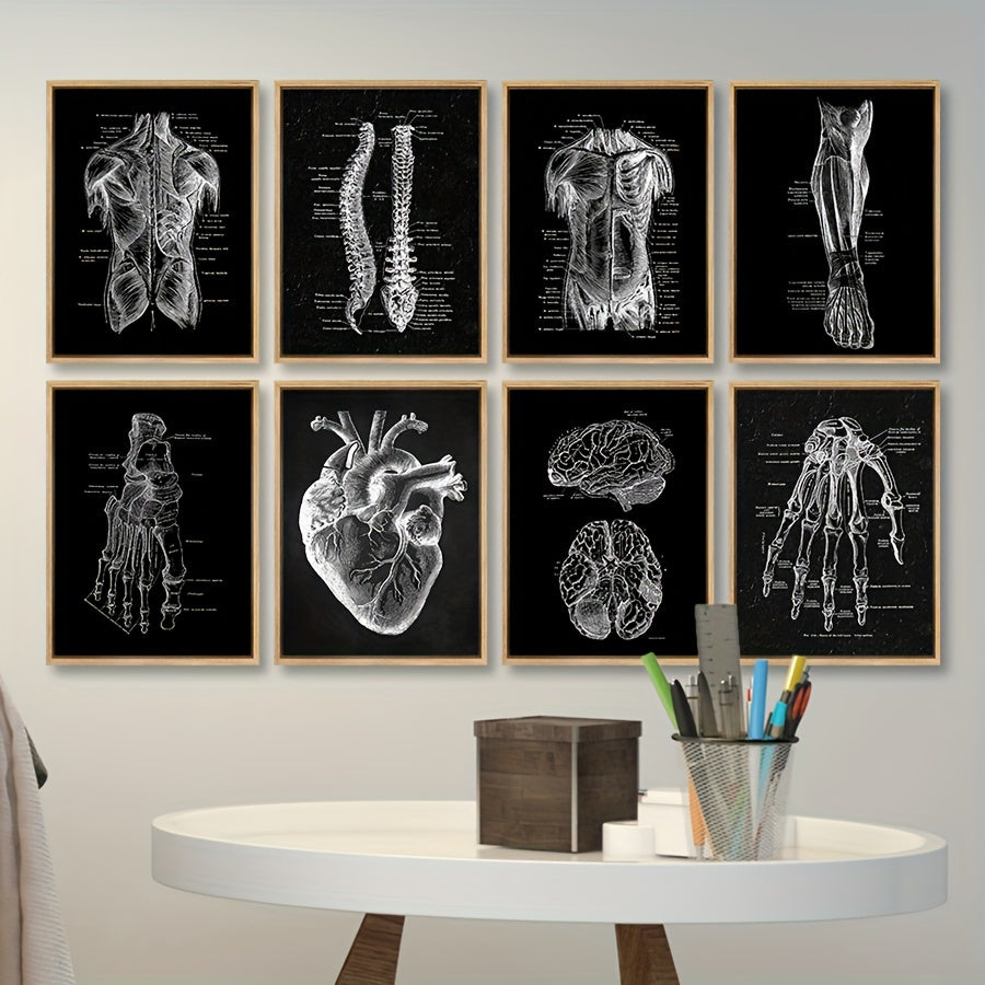 8-piece vintage anatomy wall art for bedroom, cafe, or bar wall decoration.
