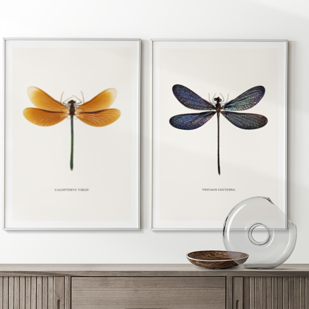 Modern dragonfly illustration wall art prints
